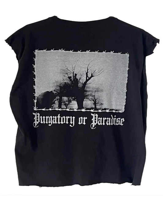 PURGATORY OR PARADISE-SQ1727187