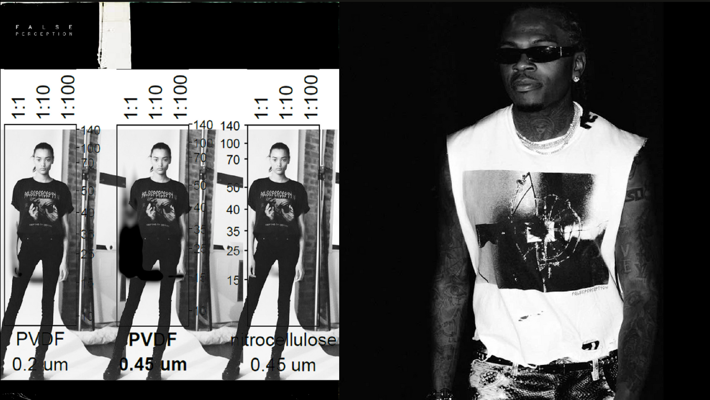 False Perception lookbook